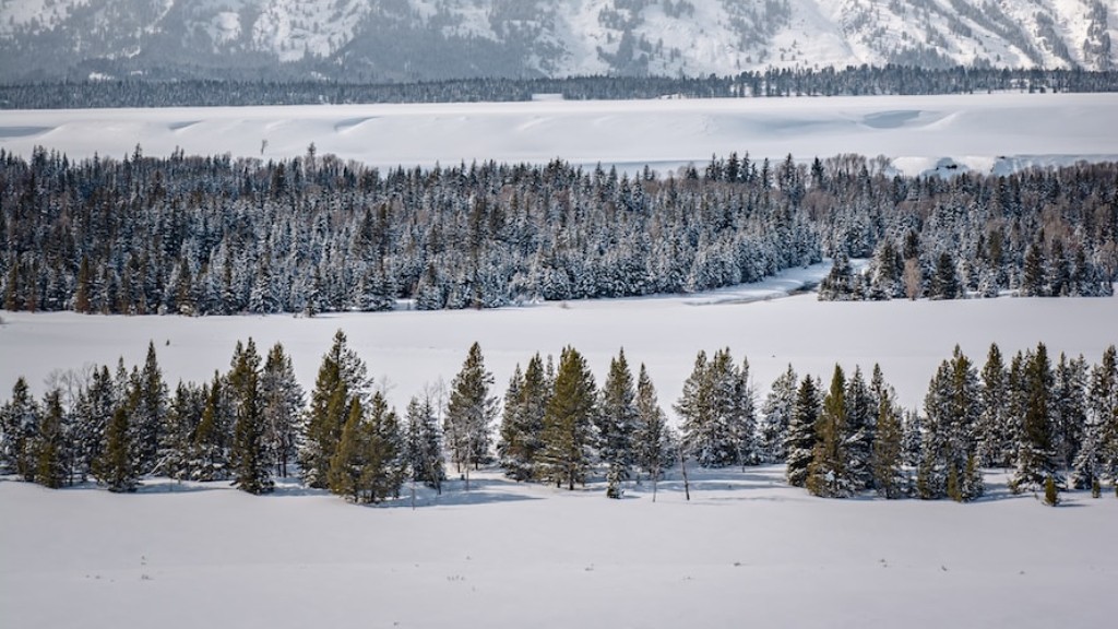 ¿El pase del Parque Nacional cubre Yellowstone?
