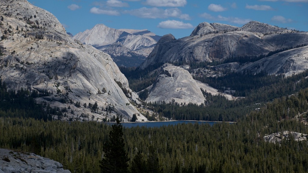 ¿Qué actividades puedes hacer en el Parque Nacional Yosemite?